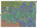 Thumbnail for Irises diamond painting adhesive canvas 80x60cm