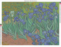 Thumbnail for Irises diamond painting adhesive canvas 80x60cm