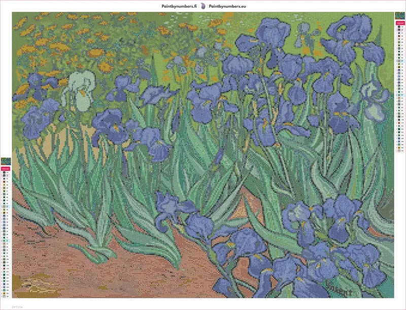 Irises diamond painting adhesive canvas 80x60cm