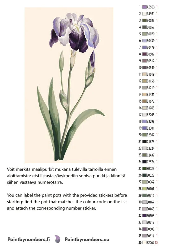 Paint color chart and instructions - Japanese Iris Large Blue Iris 40x70cm