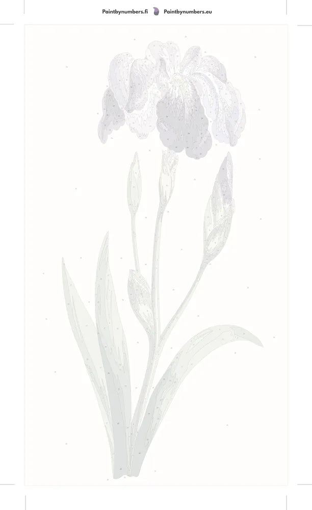 Paint by numbers numbered canvas - Japanese Iris Large Blue Iris 40x70cm