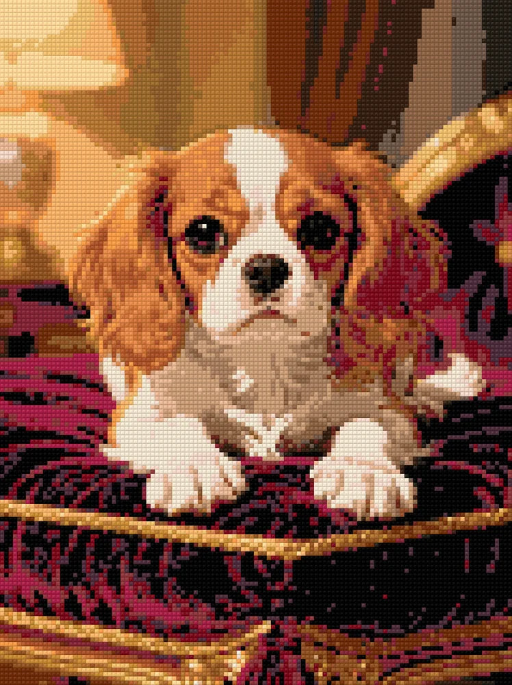 Diamantmönster för King Charles Spaniel