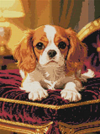 Thumbnail for Diamond Pattern - King Charles Spaniel