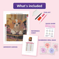Thumbnail for King Charles Spaniel 30x40cm diamond painting kit contents: adhesive canvas, color chart, tools and diamond bags