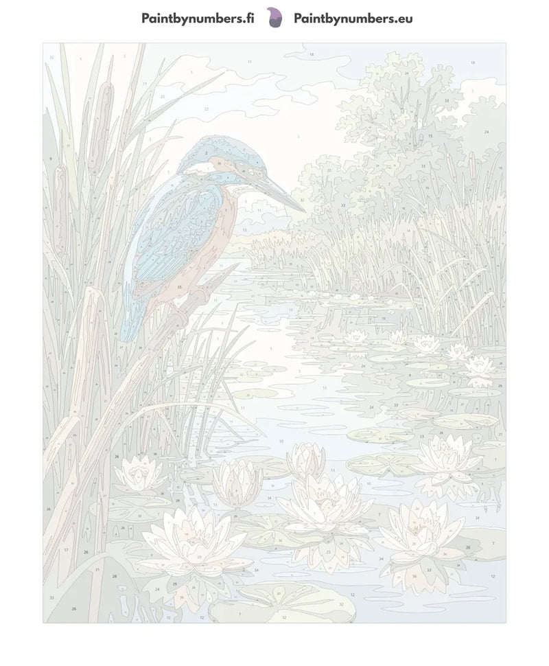 Paint by numbers numbered canvas - Kingfisher and Water Lilies 40x50cm