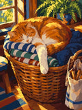 Miniatyrbild: Orangevit katt som sover på filtar i en stor korg vid ett solbelyst fönster