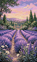 Miniatyrbild: Diamantmönster: en stig genom violett lavendel mot en vit grind i solnedgång