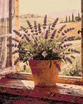 Thumbnail for Diamond pattern - Lavender in Window