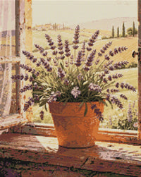 Thumbnail for Diamond pattern - Lavender in Window
