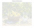 Thumbnail for Paint by numbers numbered canvas - Lemon Basket and Pitcher 50x40cm