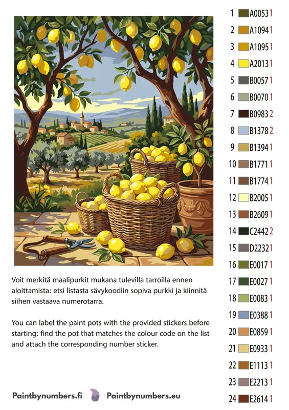 Color chart and instructions - Lemon Baskets in Countryside 40x50cm