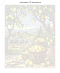 Thumbnail for Numbered canvas - Lemon Baskets in Countryside 40x50cm