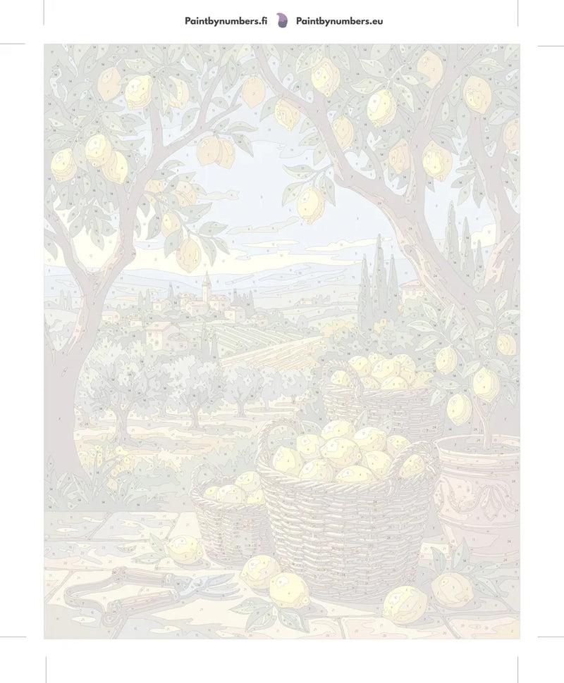 Numbered canvas - Lemon Baskets in Countryside 40x50cm