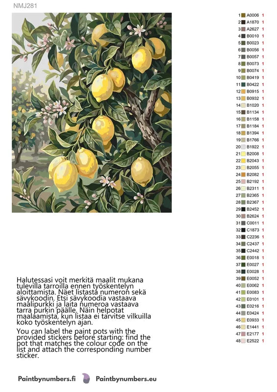 Color chart and instructions - Lemon Tree Branches 40x50cm