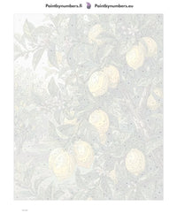 Thumbnail for Numbered canvas - Lemon Tree Branches 40x50cm