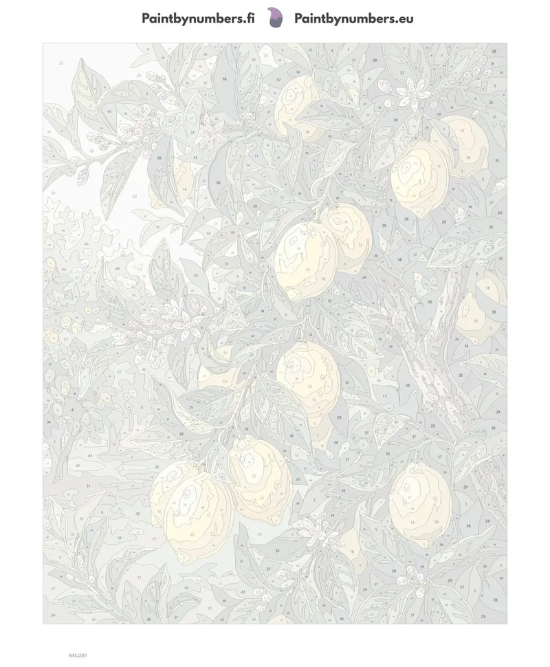 Numbered canvas - Lemon Tree Branches 40x50cm