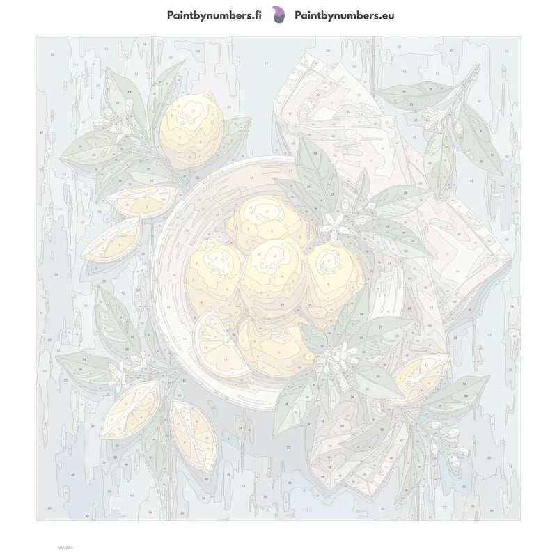 Numbered canvas - Lemons in Bowl 50x50cm
