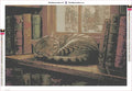 Thumbnail for Library Cat diamond painting adhesive canvas 60x40cm