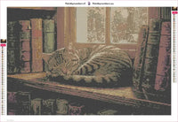 Thumbnail for Library Cat diamond painting adhesive canvas 60x40cm