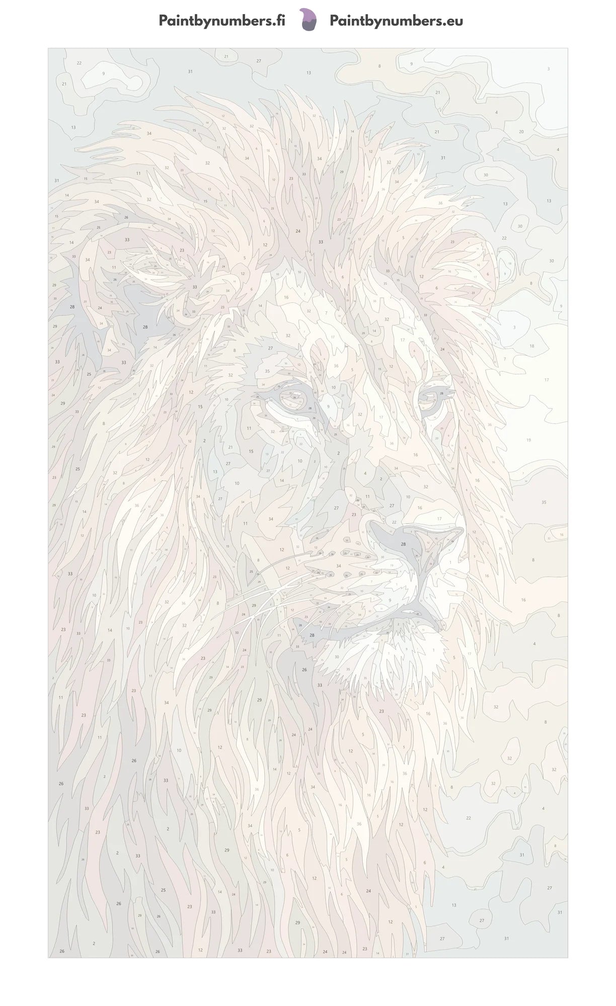 Numbered canvas - Lion Portrait Close-Up 40x70cm