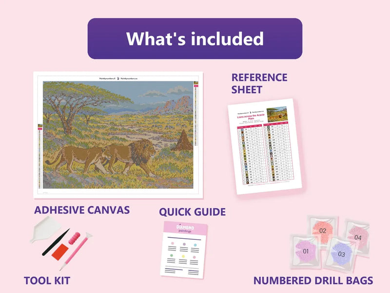 What is included in the Lions across the Acacia Plain diamond painting kit - adhesive canvas, reference sheet, tools and numbered drill bags