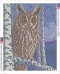 Thumbnail for Diamond painting adhesive canvas preview - Long-eared Owl in Birch Twilight