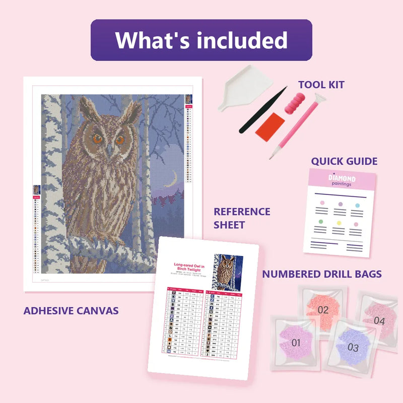 What is included in the Long-eared Owl in Birch Twilight diamond painting kit - adhesive canvas, reference sheet, tools and numbered drill bags