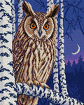 Thumbnail for long-eared owl among birches at twilight, 40x50 cm diamond painting – full design preview
