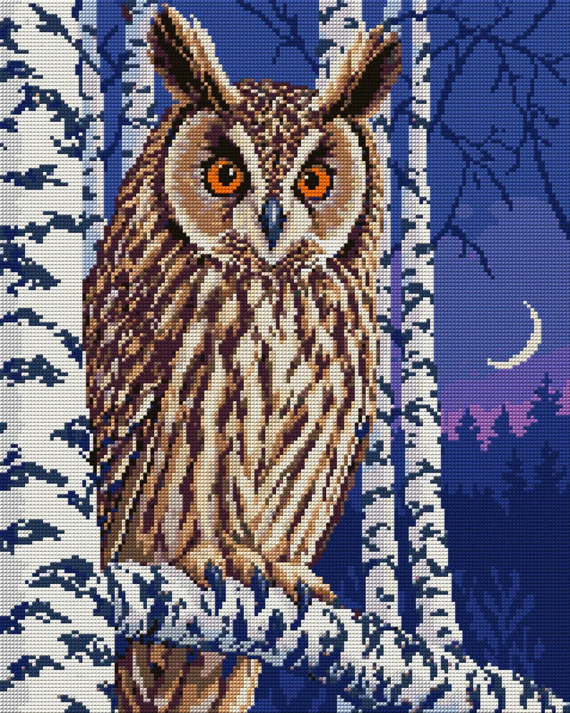 long-eared owl among birches at twilight, 40x50 cm diamond painting – full design preview