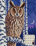 Thumbnail for long-eared owl among birches at twilight, 40x50 cm diamond painting – design and close-up of square drills