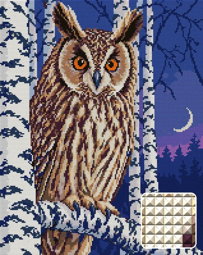 long-eared owl among birches at twilight, 40x50 cm diamond painting – design and close-up of square drills