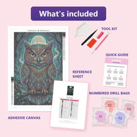 Thumbnail for Lunar Owl 40x60cm diamond painting kit contents: adhesive canvas, color chart, tools and diamond bags