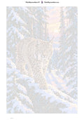 Thumbnail for Paint by numbers numbered canvas - Lynx in the Snow Forest 40x60cm