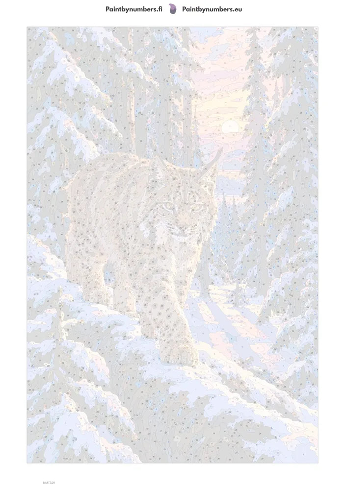 Paint by numbers numbered canvas - Lynx in the Snow Forest 40x60cm