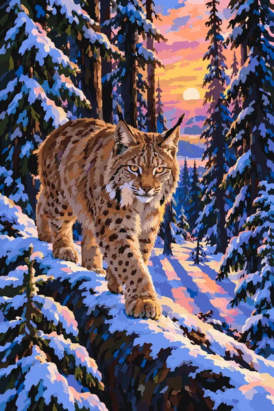 Lynx walking in snowy forest at sunset paint by numbers
