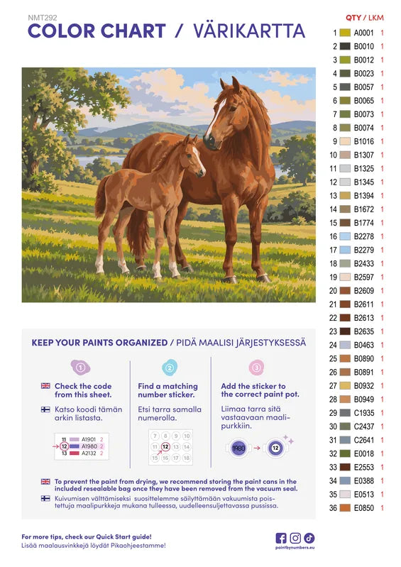 Paint color chart and instructions - Meadow Mare and Foal 50x40cm