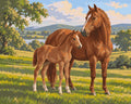 Thumbnail for Mare and foal in green meadow paint by numbers