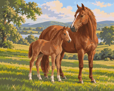 Mare and foal in green meadow paint by numbers