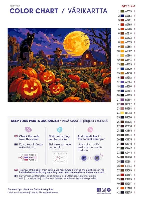 Paint color chart and instructions - Midnight Pumpkin Patch 70x50cm