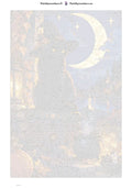 Thumbnail for Paint by numbers numbered canvas - Moon Witch Cat 40x60cm