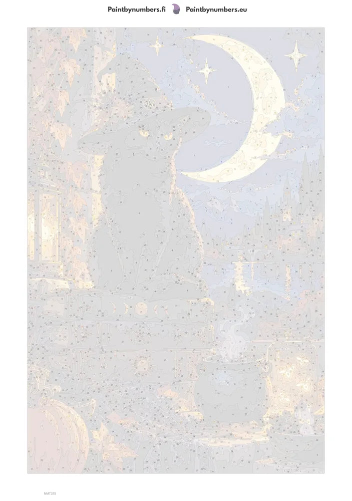 Paint by numbers numbered canvas - Moon Witch Cat 40x60cm