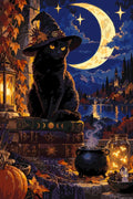 Thumbnail for Black cat with witch hat and moon paint by numbers