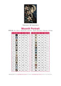 Thumbnail for Moonlit Portrait diamond painting color chart – 30 DMC colors