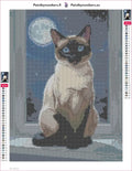Thumbnail for Moonlit Siamese Cat diamond painting adhesive canvas 30x40cm