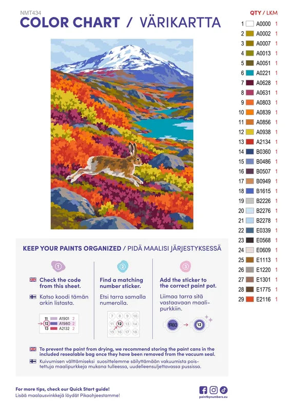 Paint color chart and instructions - Mountain Hare, Abisko in September 30x40cm
