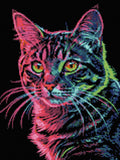 Thumbnail for Diamond Pattern - Neon Cat Portrait