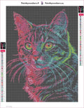 Thumbnail for Neon Cat Portrait diamond painting adhesive canvas 30x40cm