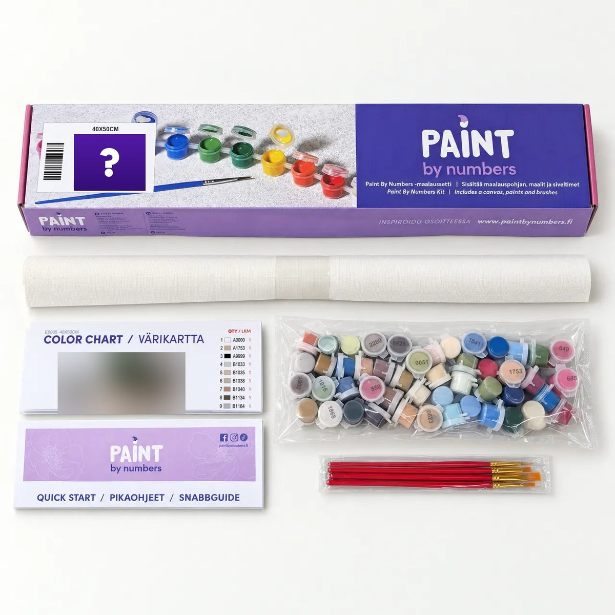 Contents of one paint by numbers box: canvas, paints, brushes, colour chart and quick start guide