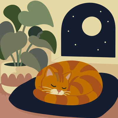 Orange cat sleeping on a cushion, paint by numbers.
