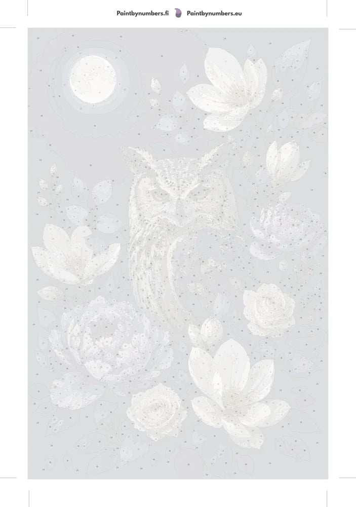 Paint by numbers numbered canvas - Owl and Flowers at Night 40x60cm
